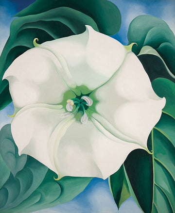 Jimson Weed, White Flower No 1 Georgia O'Keefe Print